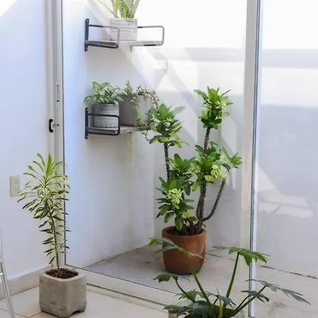 Casa Primavera Tuxtla Gutiérrez Exterior photo