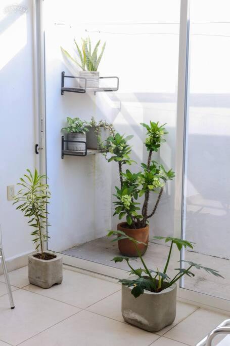 Casa Primavera * Tuxtla Gutierrez