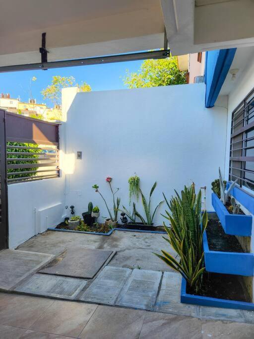 Casa Primavera