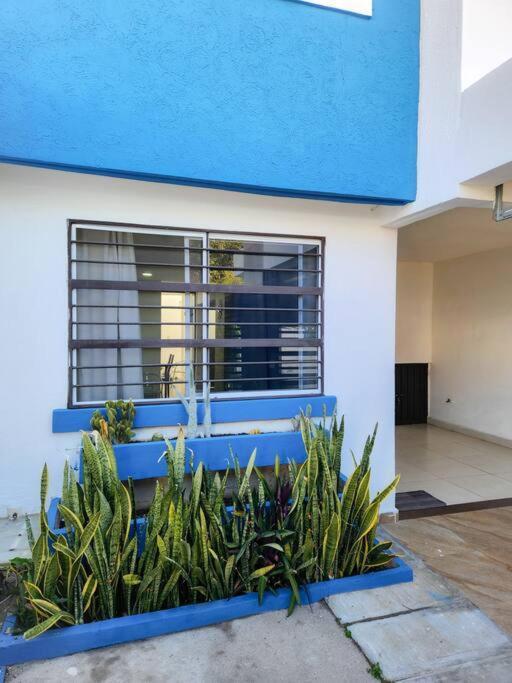 Holiday home Casa Primavera