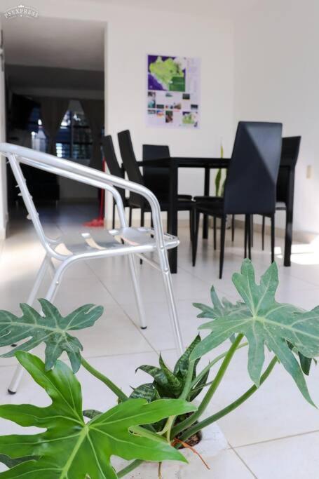 Casa Primavera * Tuxtla Gutierrez