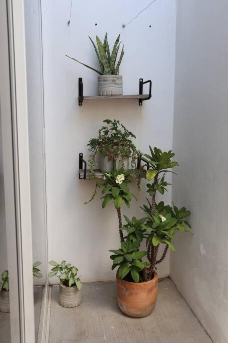 Casa Primavera Holiday home
